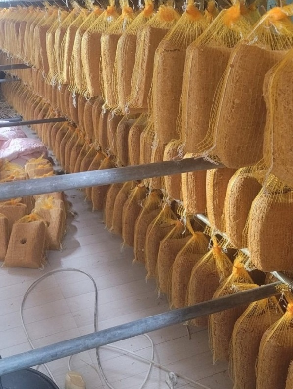 동네한바퀴-영암-어육간장-배재희-