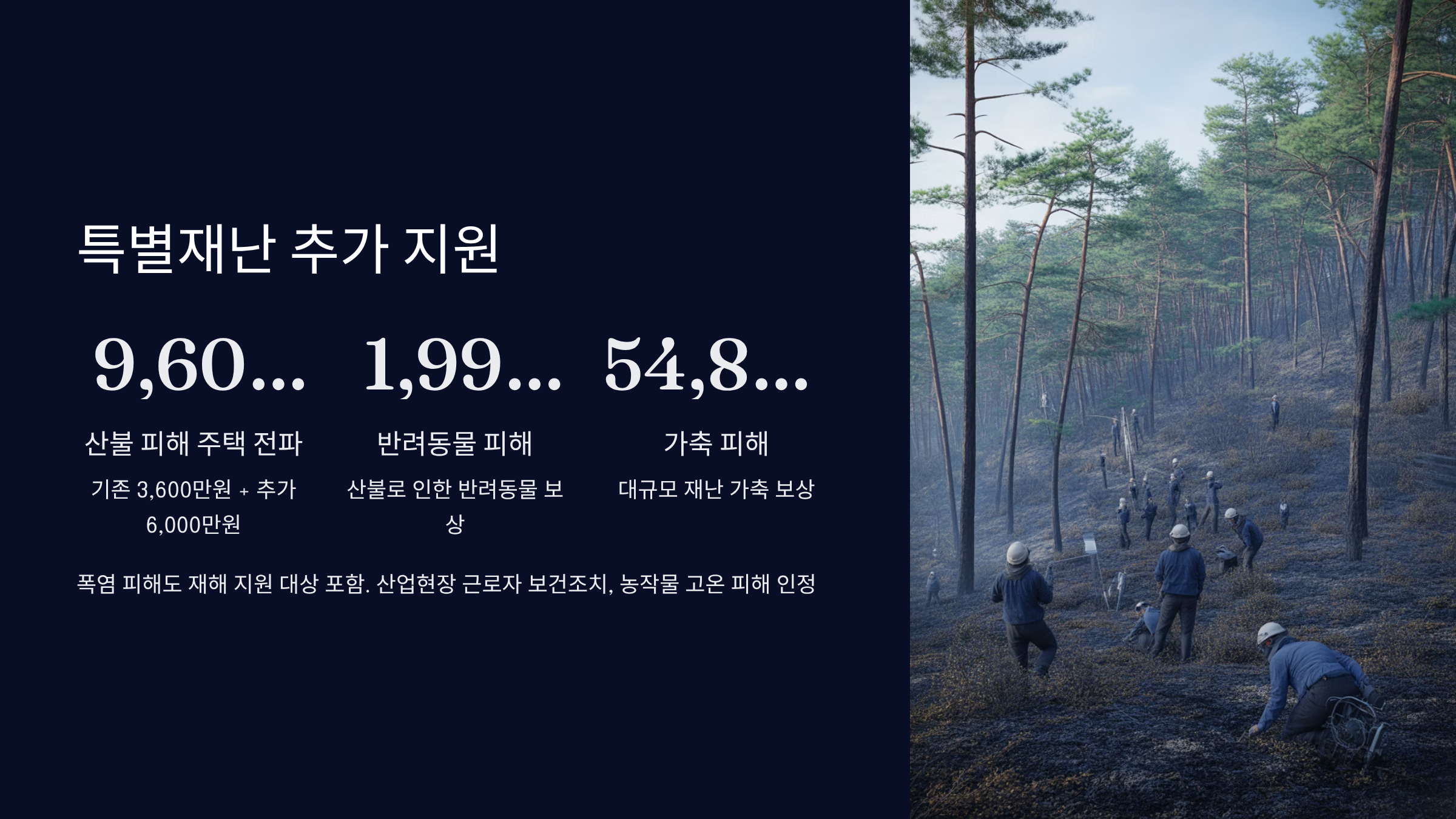 특별재난 지원 사례와 추가 혜택