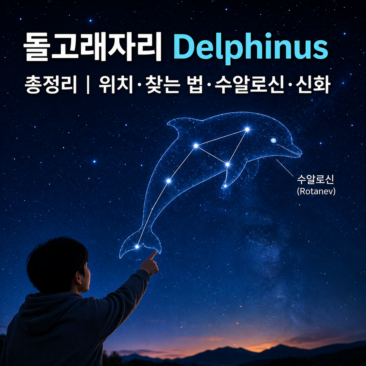 돌고래자리