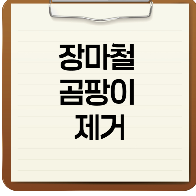 장마철 곰팡이 제거