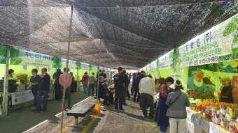 직거래 판매 준비 포장 가격 온라인마켓 택배 규정_15