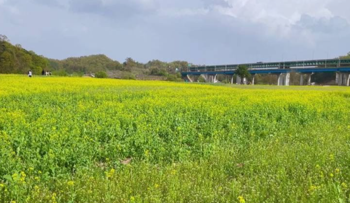 충주 가볼만한곳 베스트10