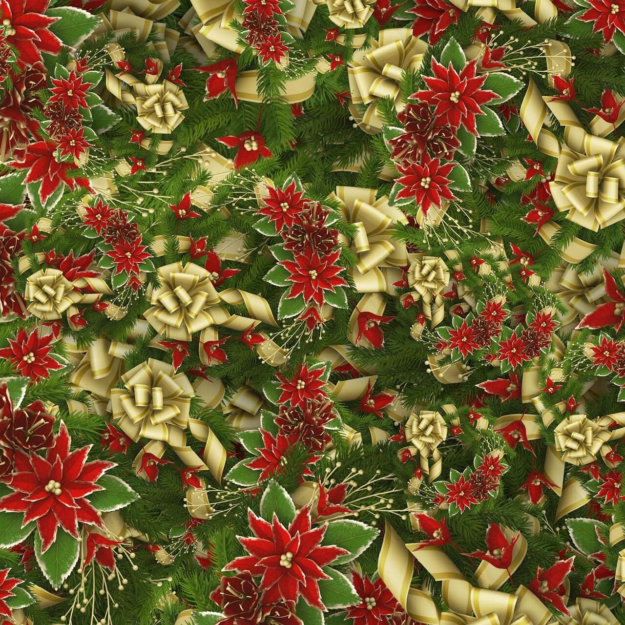 2025 함평 겨울빛축제