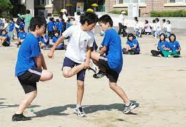 한국의 전통 놀이 닭싸움의 유래 및 놀이 방법과 특징