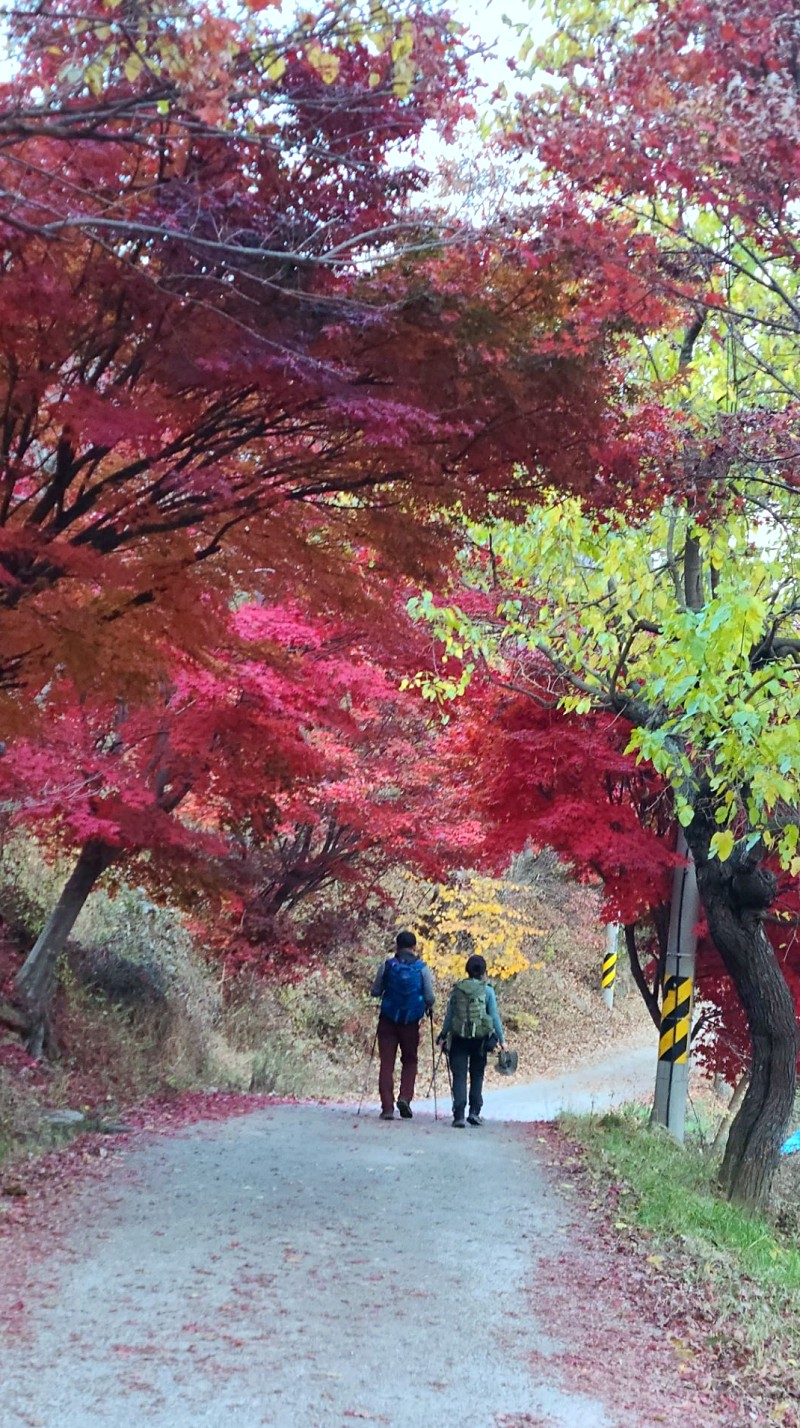 충북 보은 속리산 30