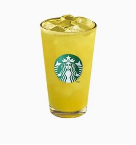 비염에 좋은 차