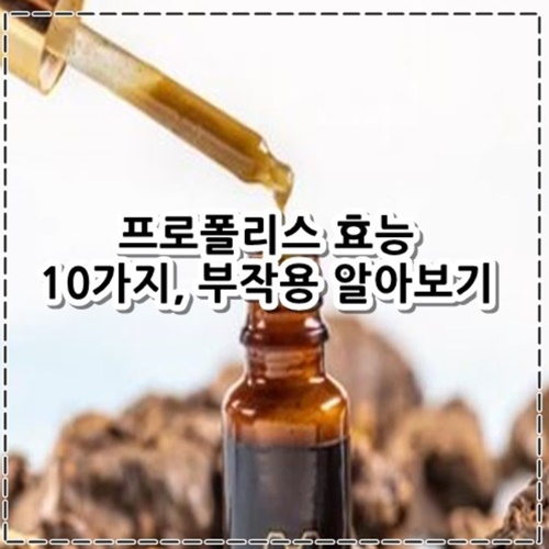 프로폴리스 효능 10가지, 부작용 알아보기