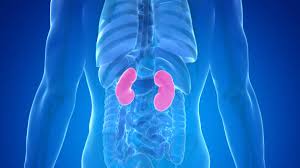 밤에 소변이 자주 마려운 이유