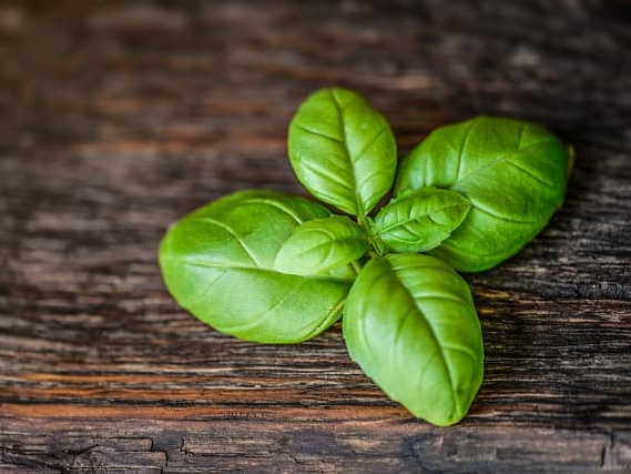 다이어트에 도움을 주는 바질 씨드