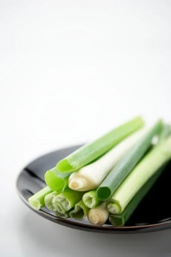 리크 재배 분주 심기 북주기 통풍 관리_5