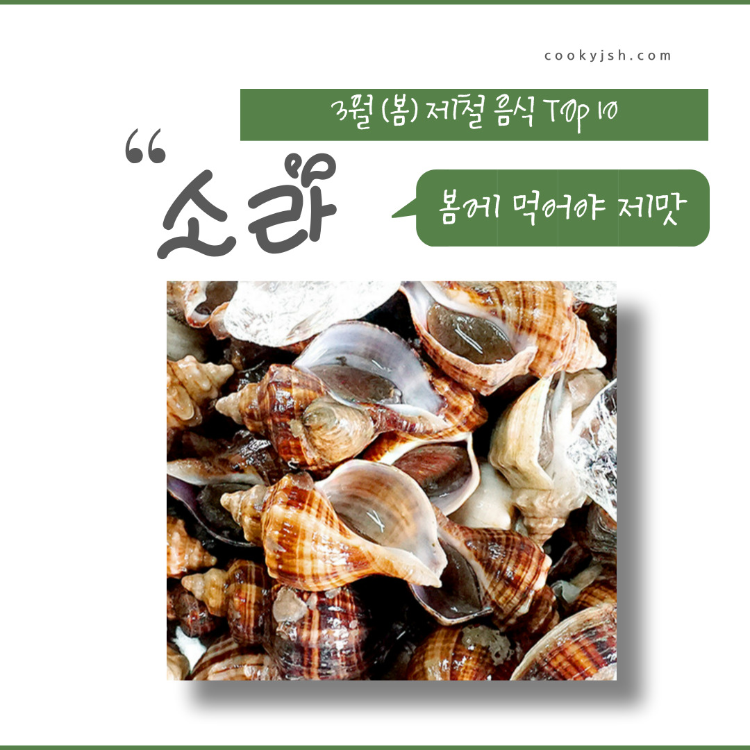 3월에 먹으면 좋은 제철 음식(봄철 음식) - 소라편 (효능, 소라가 들어가는 음식)