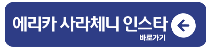 에리카 사라세니 기록과 경계를 넘는 미모 3