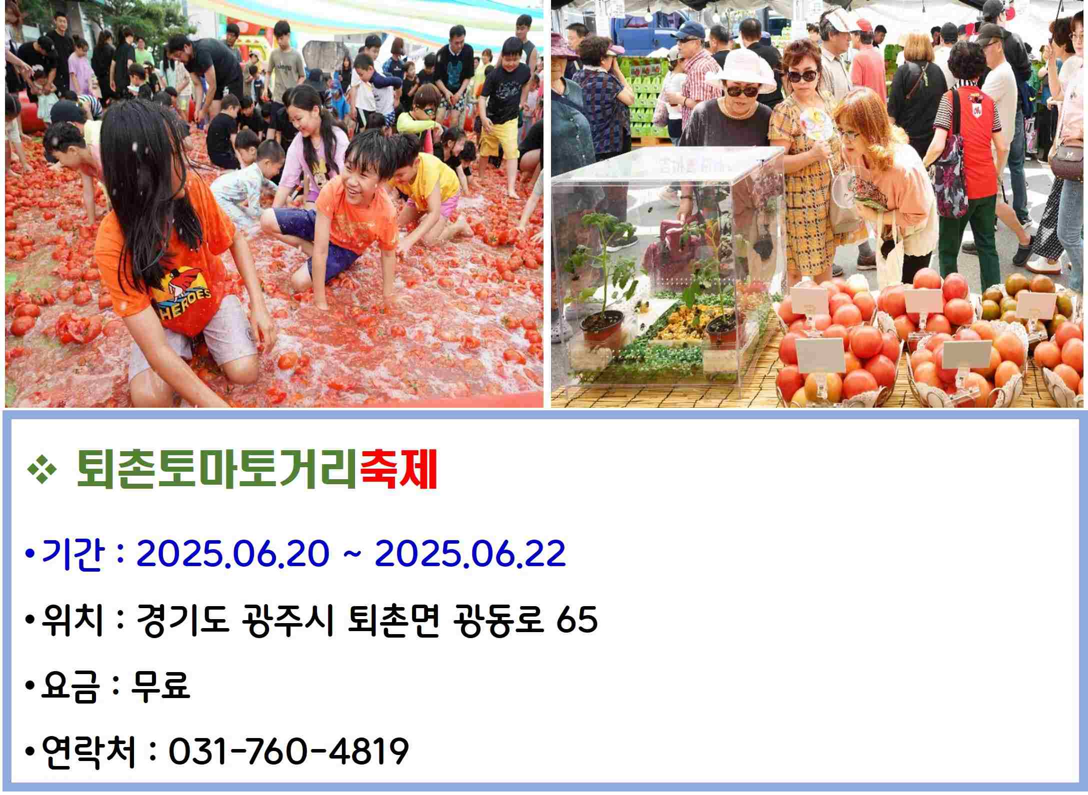 퇴촌토마토거리축제