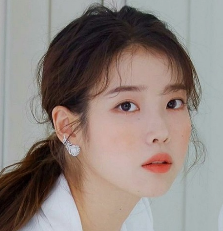 연예인 다이어트 식단&amp;#44;방법 단기-5kg 성공 가능 