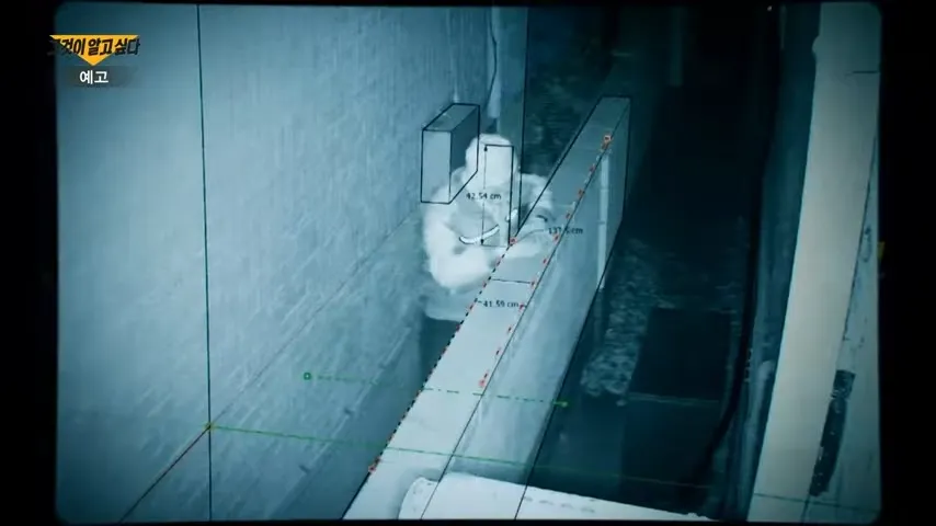 구하라 면식범