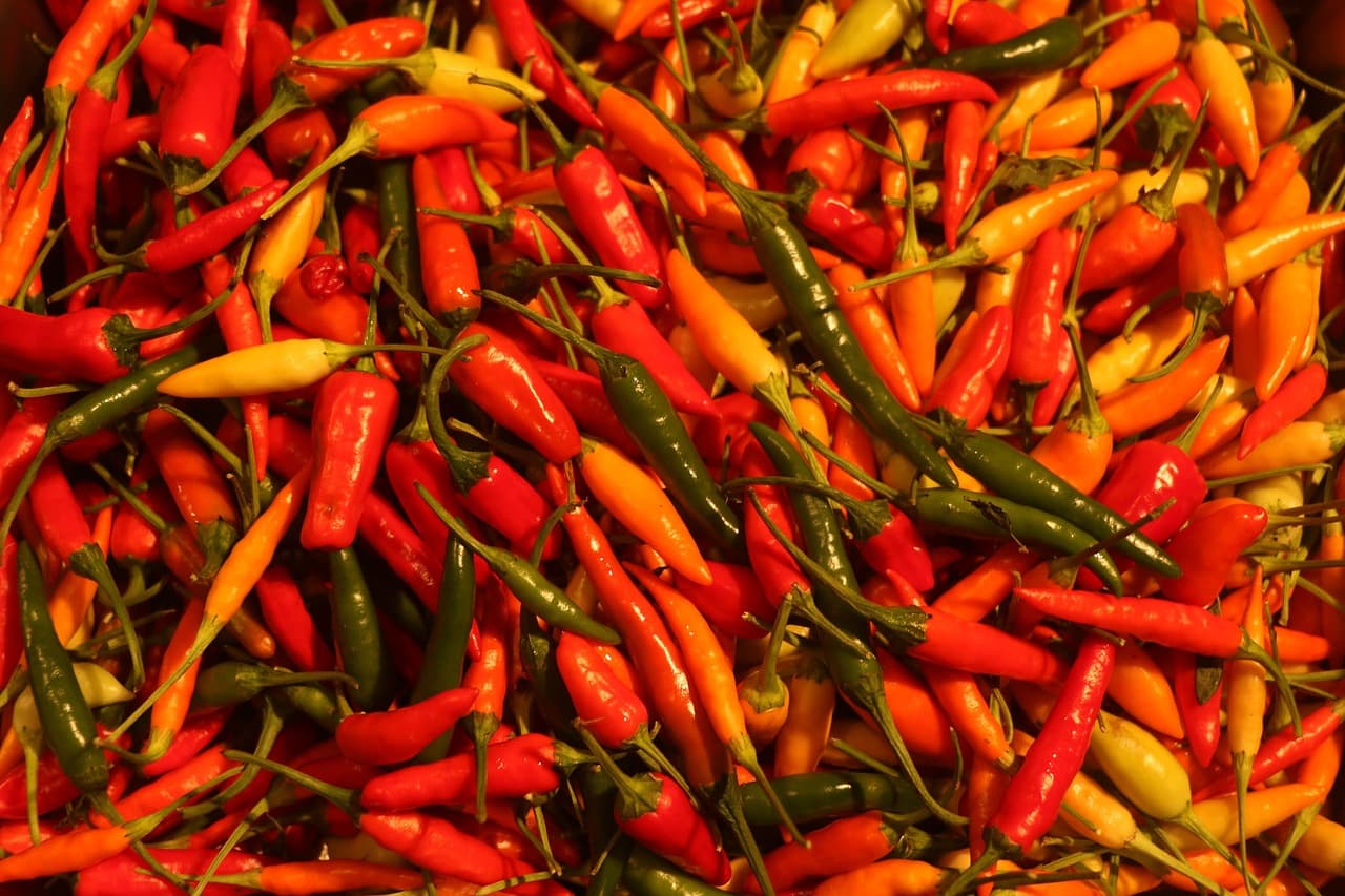 향신료가 감정에 미치는 영향: 나라별 매운 음식이 주는 심리적 효과