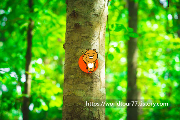 3월 트레킹 사진