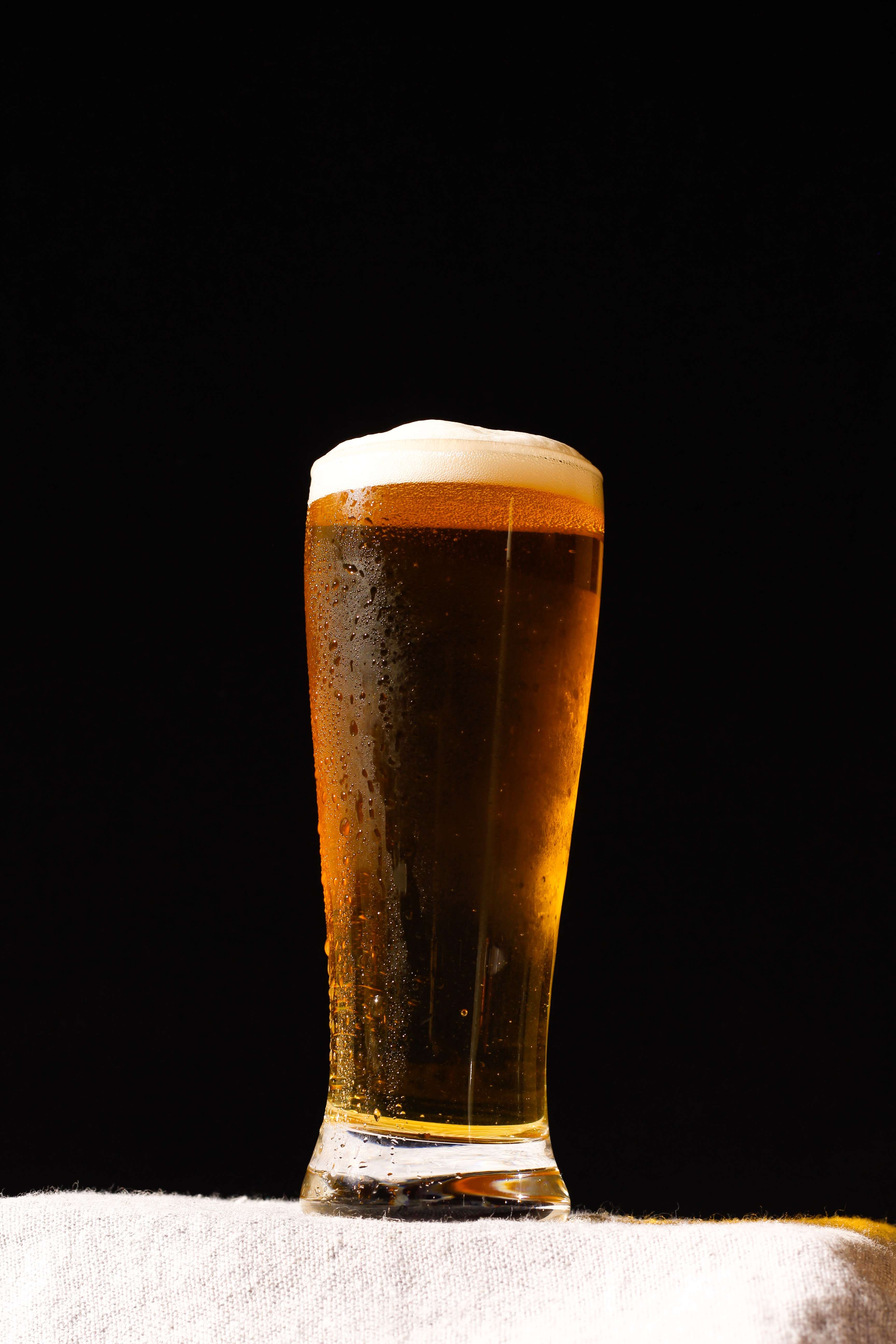 2023 부산 맥주 축제