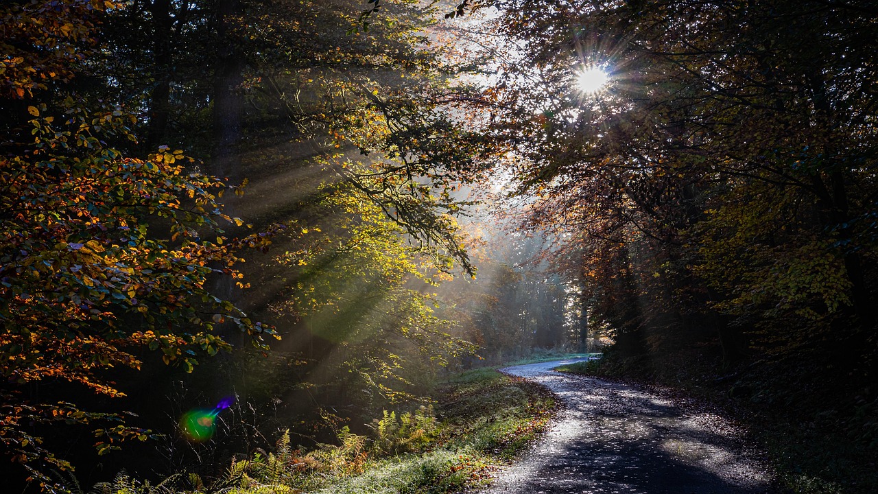 quiet road 관련 사진