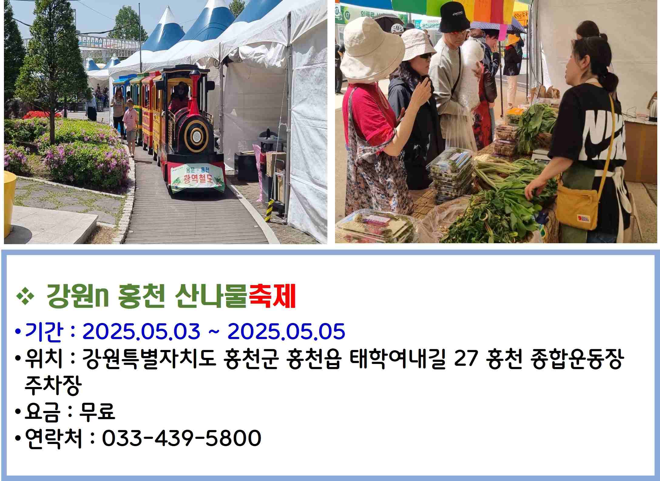 강원n 홍천 산나물축제