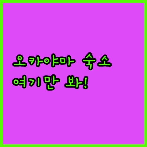 오카야마 숙소 추천 4곳 역 근처 위..