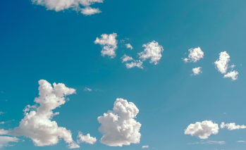 보건증 검사항목 쉽게 정리 5