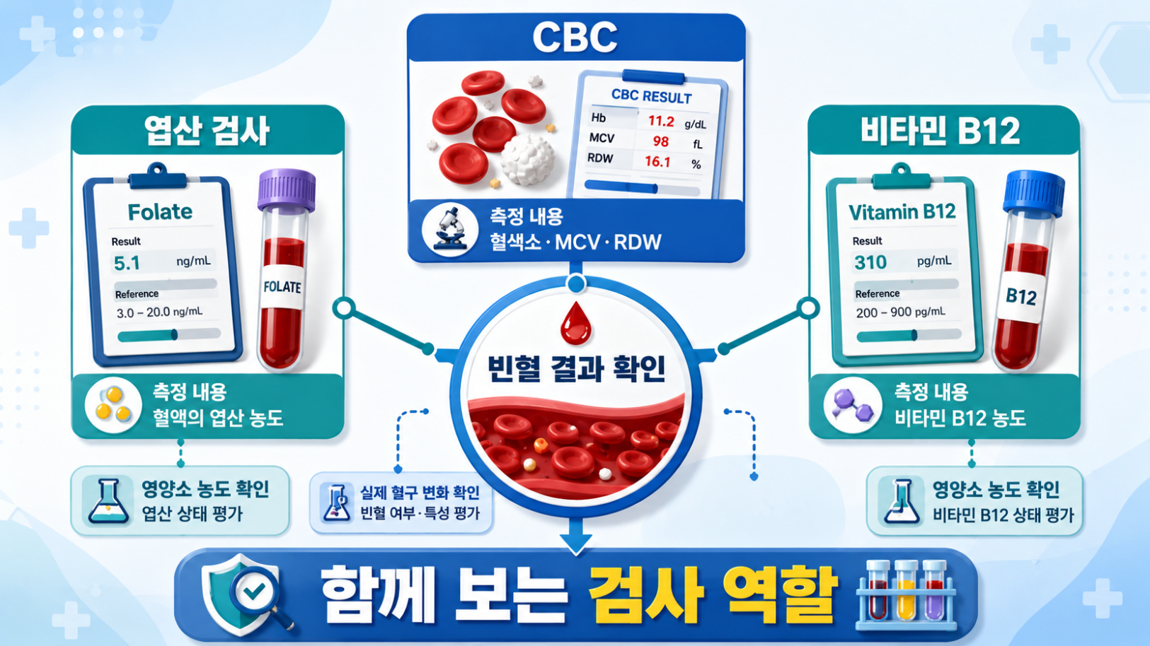 4. 엽산 검사, CBC, 비타민 B12 검사가 서로 다른 정보를 제공하며 함께 해석하는 이유를 설명한 의료 인포그래픽
