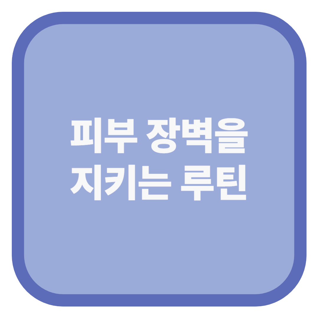피부 장벽을 지키는 루틴