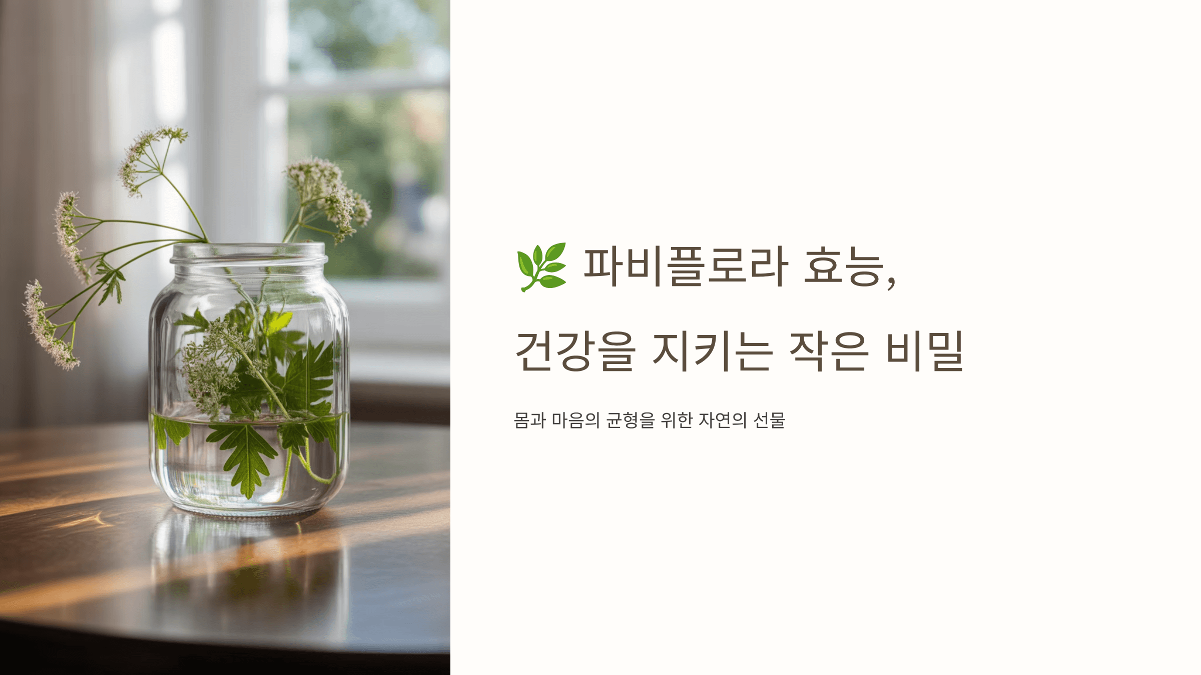 파비플로라 사진입니다.