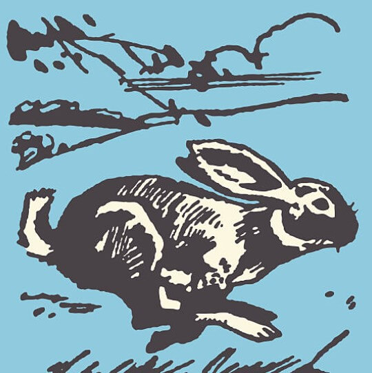 새해 인사말 새해 인사말 좋은글 새해 인사 계묘년 새해인사 계묘년 새해 인사말 새해 인사 문자 새해 인사 고객문자 친구 새해 인사 직장동료 새해 인사 친구 새해 인사말 직장동료 새해 인사말 부모님 새해 인사 부모님 새해 인사말