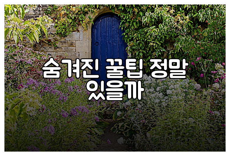 숨겨진 꿀팁 정말 있을까