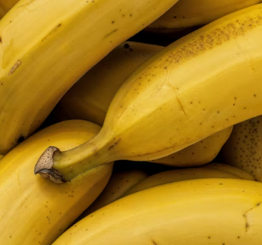 위궤양에 좋은 음식 영양제 식단