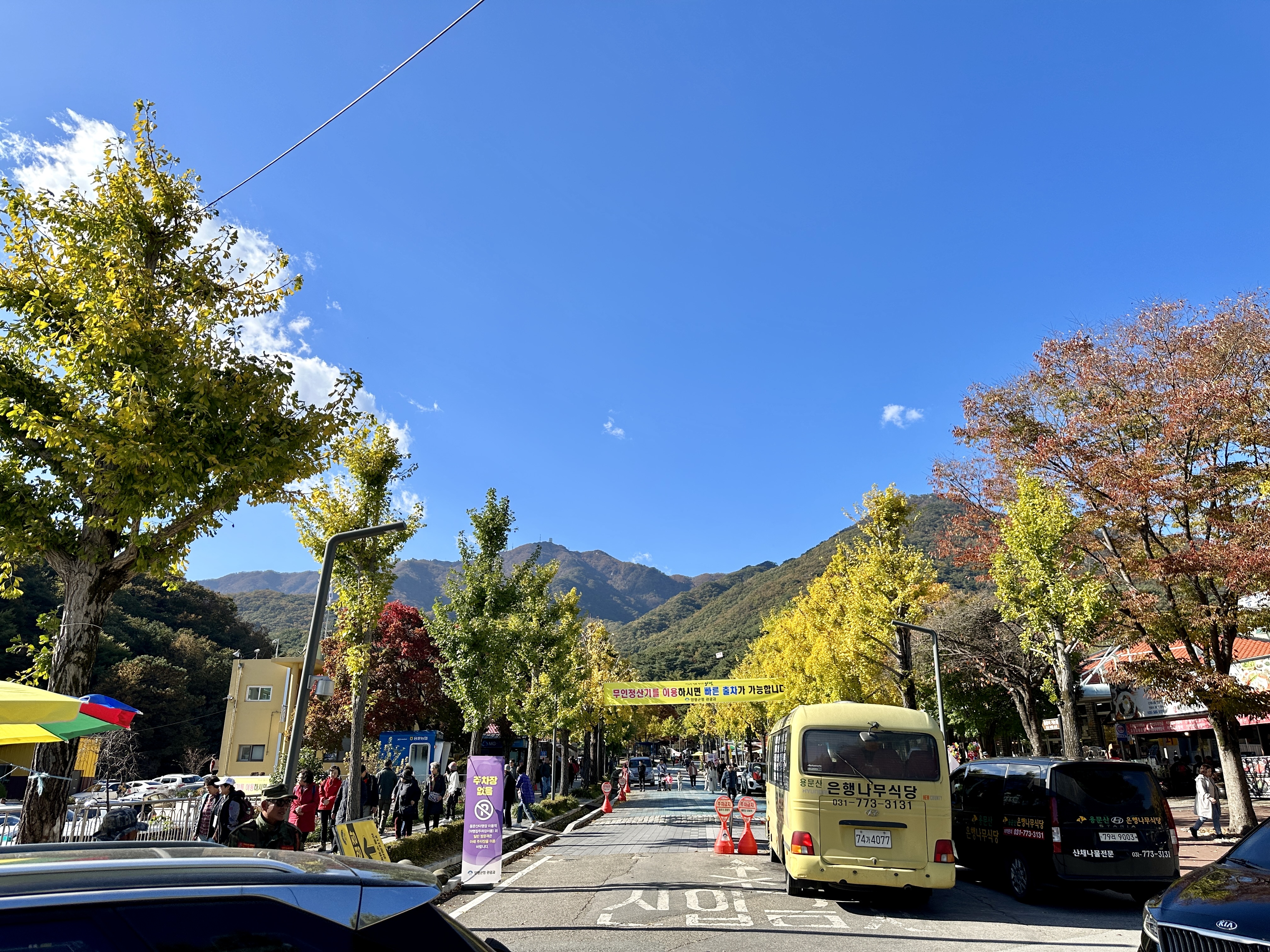 용문산 입구 식당들