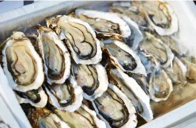 굴 효능과 영양성분&amp;#44; 먹을때 주의점