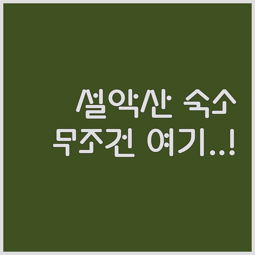 설악산 숙소 베스트 5 호텔 위치부터..