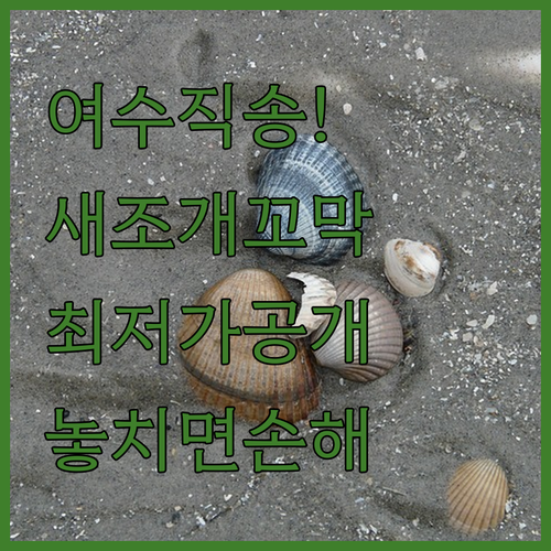 여수 산지직송 새조개 꼬막장 제품별 ..