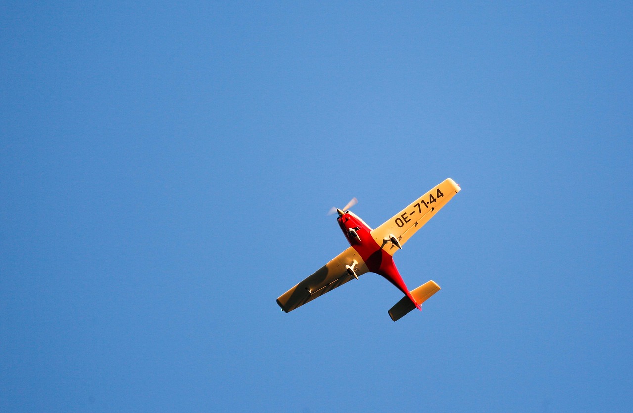 훈련법 관련된 사진