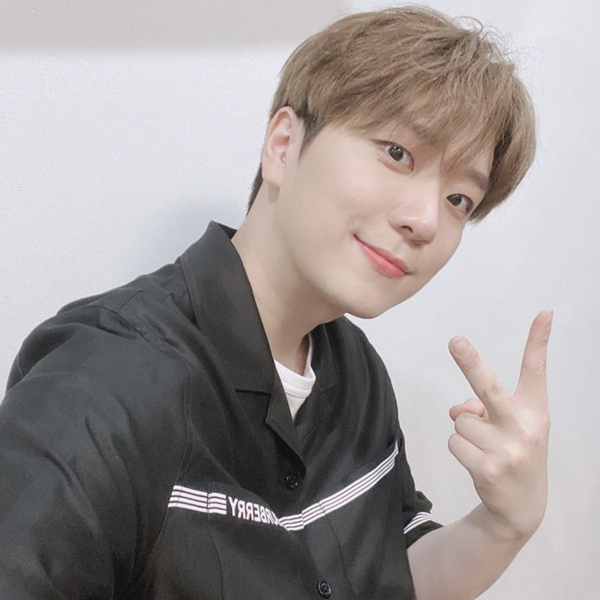 성악가 고우림