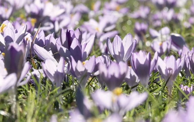 화담숲-예약-방법