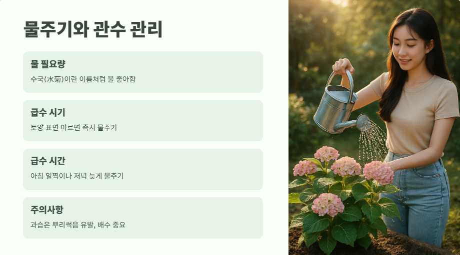 수국 키우는법 초보자도 쉽게 4