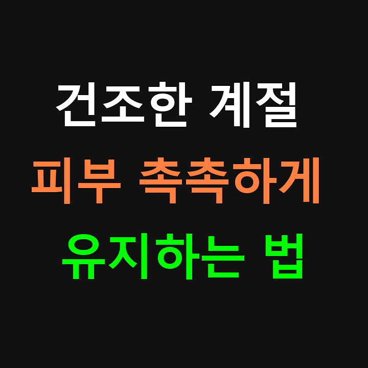 건조한 계절 피부 촉촉하게 관리하기