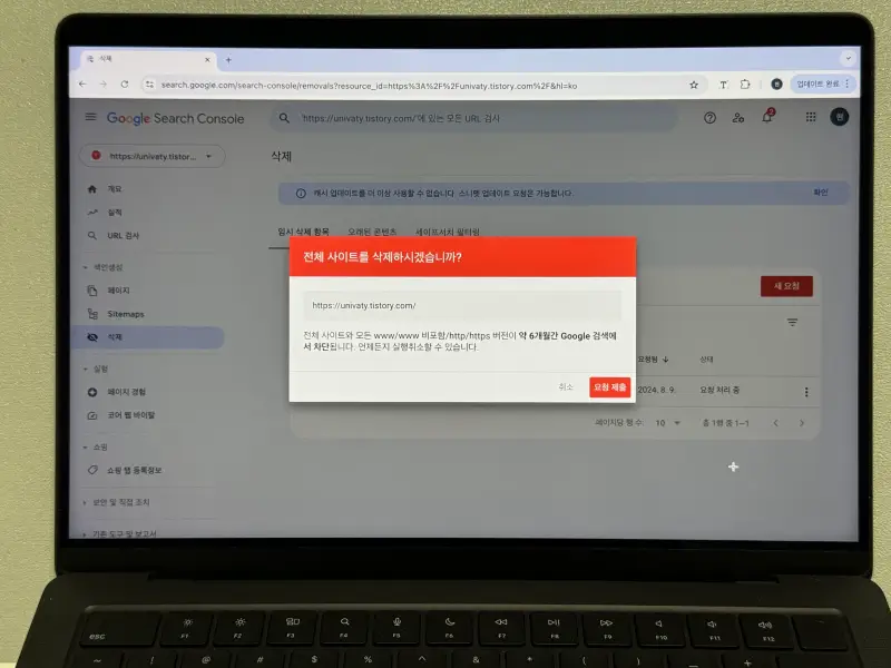 구글 서치콘솔 일시적으로 사이트 URL 삭제 요청 제출 알럿 사진