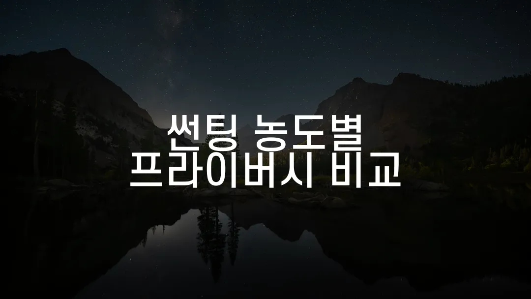 썬팅 농도별 프라이버시 비교