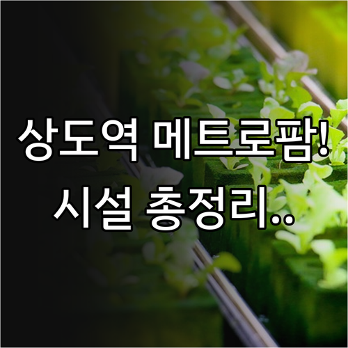 7호선 상도역 메트로팜 위치 및 주요..