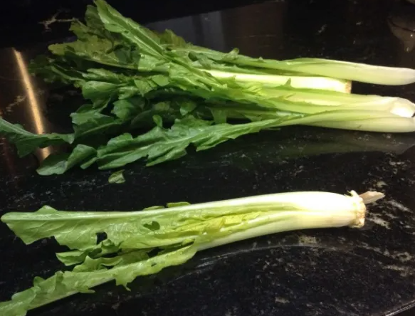 치커리 효능 부작용 먹는법 한눈에 정리