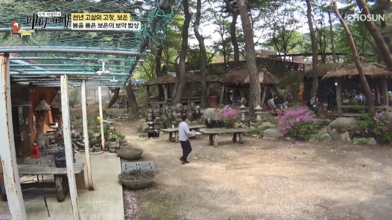 식객 허영만의 백반기행 299회 정일우의 보은 밥상 충북 보은 자연산 버섯전골 맛집 구병산골가든