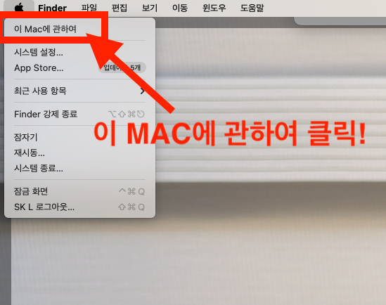 맥북 일련번호 칩 메모리 확인 방법