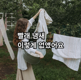 여름철 빨래 냄새를 줄이는 자취생 생활 꿀팁