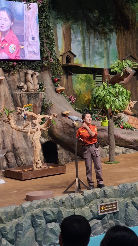 사람 말 따라하는 앵무새