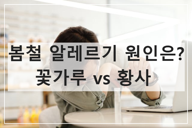 봄철_알레르기_꽃가루_황사